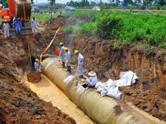 Ảnh bìa bài viết 351852