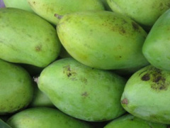 Ảnh bìa bài viết 351939