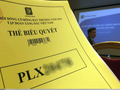 Ảnh bìa bài viết 351983