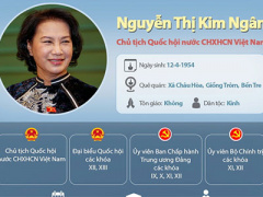 Ảnh bìa bài viết 352163