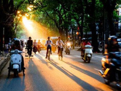 Ảnh bìa bài viết 352478