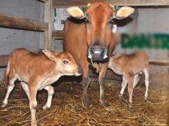 Ảnh bìa bài viết 352430