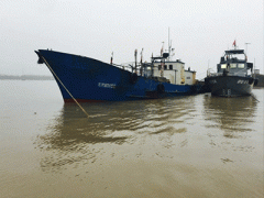 Ảnh bìa bài viết 352698