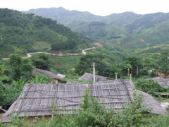 Ảnh bìa bài viết 352724