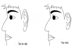 Ảnh bìa bài viết 352785