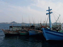 Ảnh bìa bài viết 352810