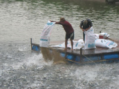 Ảnh bìa bài viết 353005