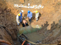 Ảnh bìa bài viết 353243