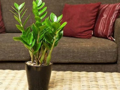 Ảnh bìa bài viết 353494