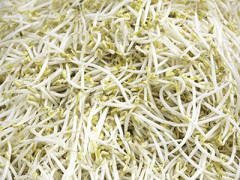 Ảnh bìa bài viết 353792