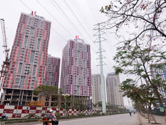 Ảnh bìa bài viết 353712