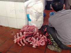 Ảnh bìa bài viết 353930
