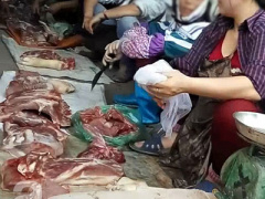 Ảnh bìa bài viết 353844
