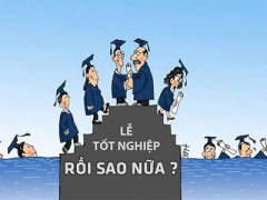 Ảnh bìa bài viết 354308