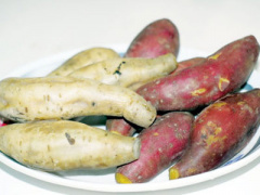 Ảnh bìa bài viết 354609