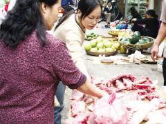 Ảnh bìa bài viết 354551