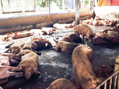 Ảnh bìa bài viết 354531