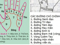 Ảnh bìa bài viết 354516