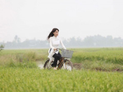 Ảnh bìa bài viết 354389
