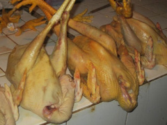 Ảnh bìa bài viết 354760