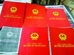 Ảnh bìa bài viết 354967
