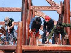 Ảnh bìa bài viết 355031