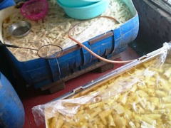 Ảnh bìa bài viết 354932