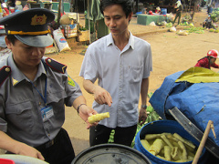 Ảnh bìa bài viết 355158