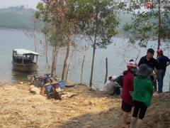 Ảnh bìa bài viết 355331