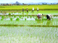 Ảnh bìa bài viết 355246