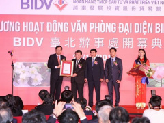 Ảnh bìa bài viết 355560