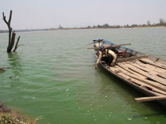 Ảnh bìa bài viết 355531