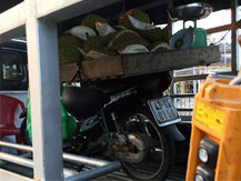 Ảnh bìa bài viết 355655