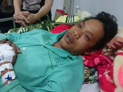 Ảnh bìa bài viết 355818