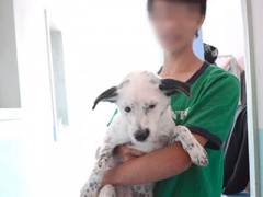 Ảnh bìa bài viết 355683