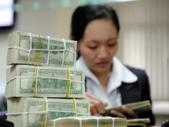 Ảnh bìa bài viết 355702