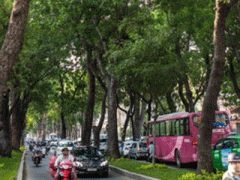Ảnh bìa bài viết 356003