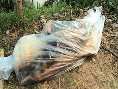 Ảnh bìa bài viết 356199