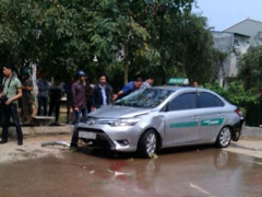 Ảnh bìa bài viết 356188