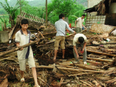 Ảnh bìa bài viết 356203