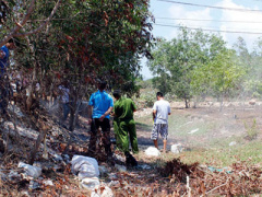 Ảnh bìa bài viết 356159