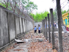 Ảnh bìa bài viết 356206