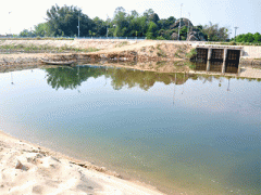 Ảnh bìa bài viết 356467