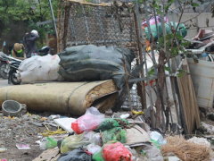 Ảnh bìa bài viết 356439