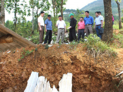 Ảnh bìa bài viết 356614