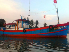 Ảnh bìa bài viết 356505