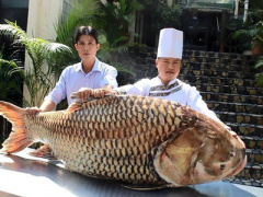 Ảnh bìa bài viết 356835
