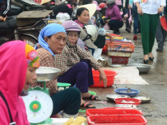 Ảnh bìa bài viết 356941