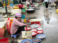 Ảnh bìa bài viết 357109