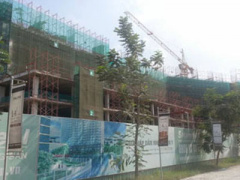 Ảnh bìa bài viết 357021